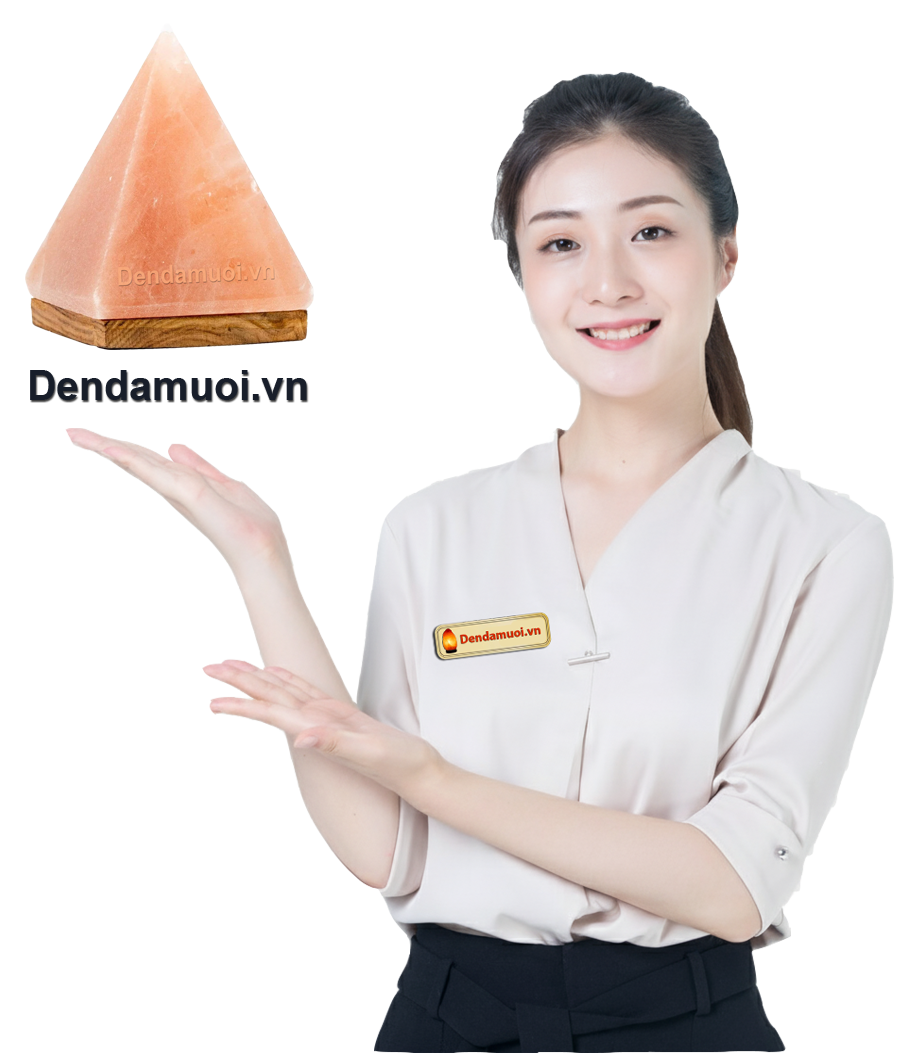 Giá đèn đá muối Himalaya ở đâu rẻ nhất