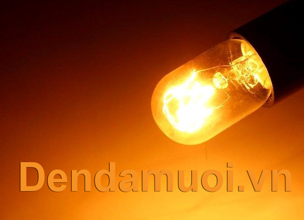 bóng đèn sợi đốt công suất thấp